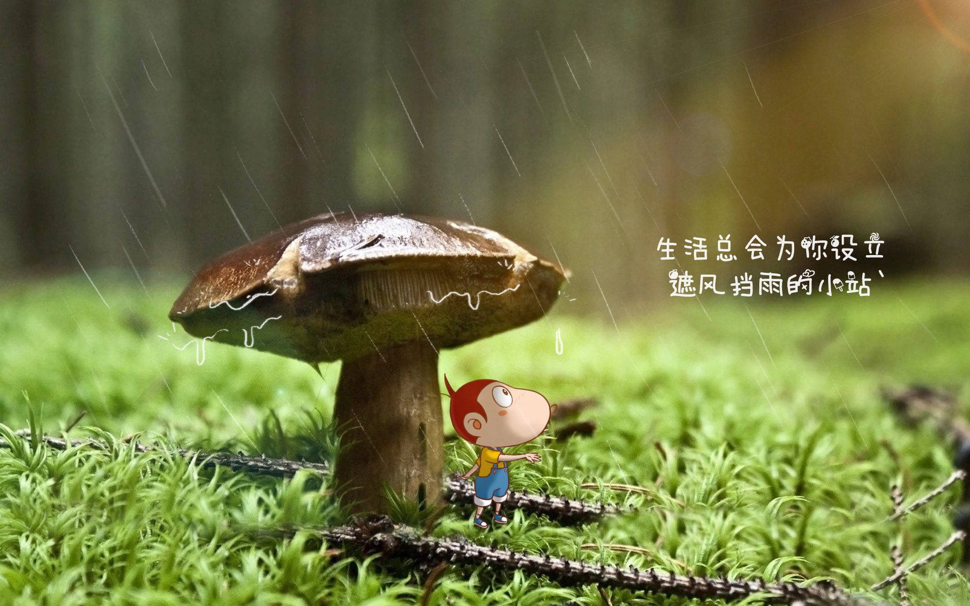 _魔术队士气高涨,逆转强敌_,魔术队队员名单最新