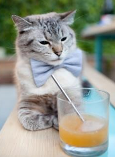 关键封盖：李磊封堵对手最后一投，守住胜利！