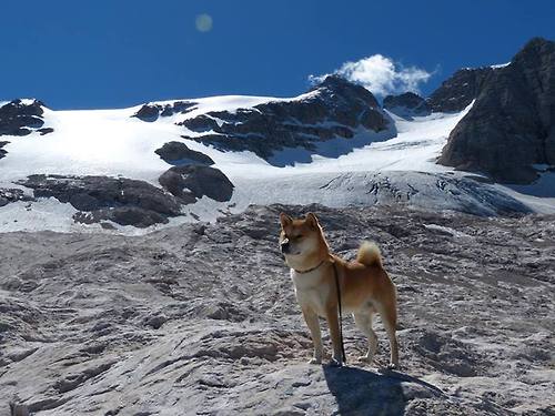 kaiyun中国官方网站-决赛MVP：阿根廷新星一战封神，阿根廷决赛魔咒