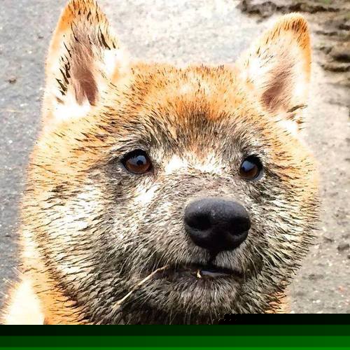 开云官网APP下载-战术改革：新兴战术理念如何颠覆传统？，战术创新的意义